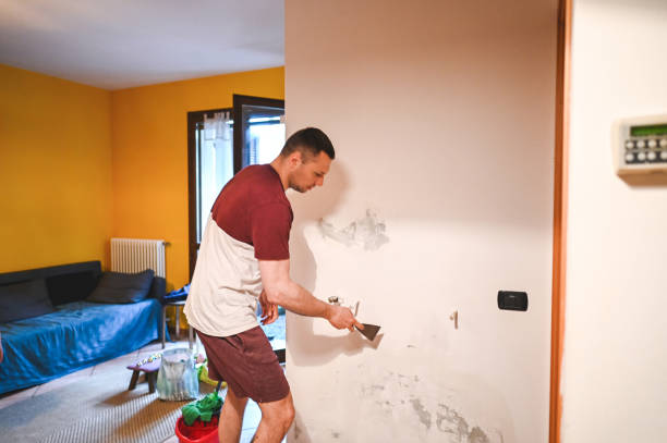 Best Bathroom Mold Remediation in La Mirada, CA